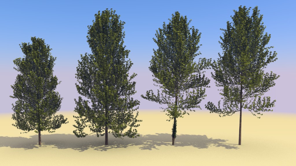 Trees - beech preview image 1